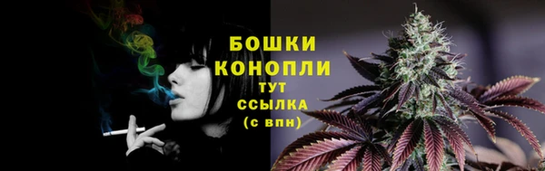 экстази Горняк