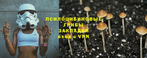 экстази Горняк