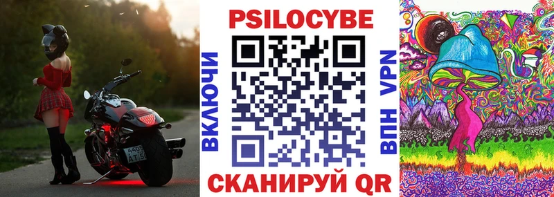 darknet клад  Томилино  Псилоцибиновые грибы прущие грибы 